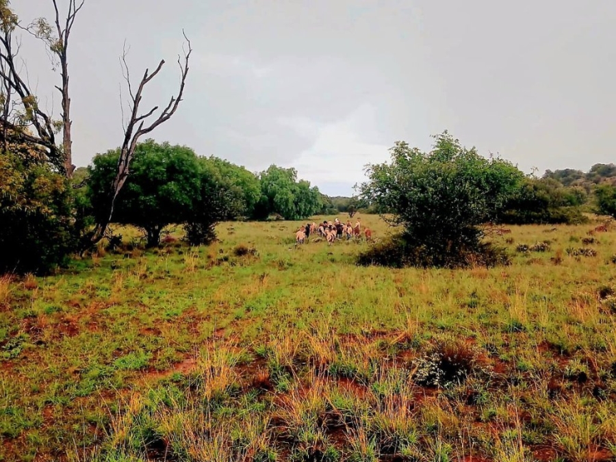 3 Bedroom Property for Sale in Bloemfontein Rural Free State